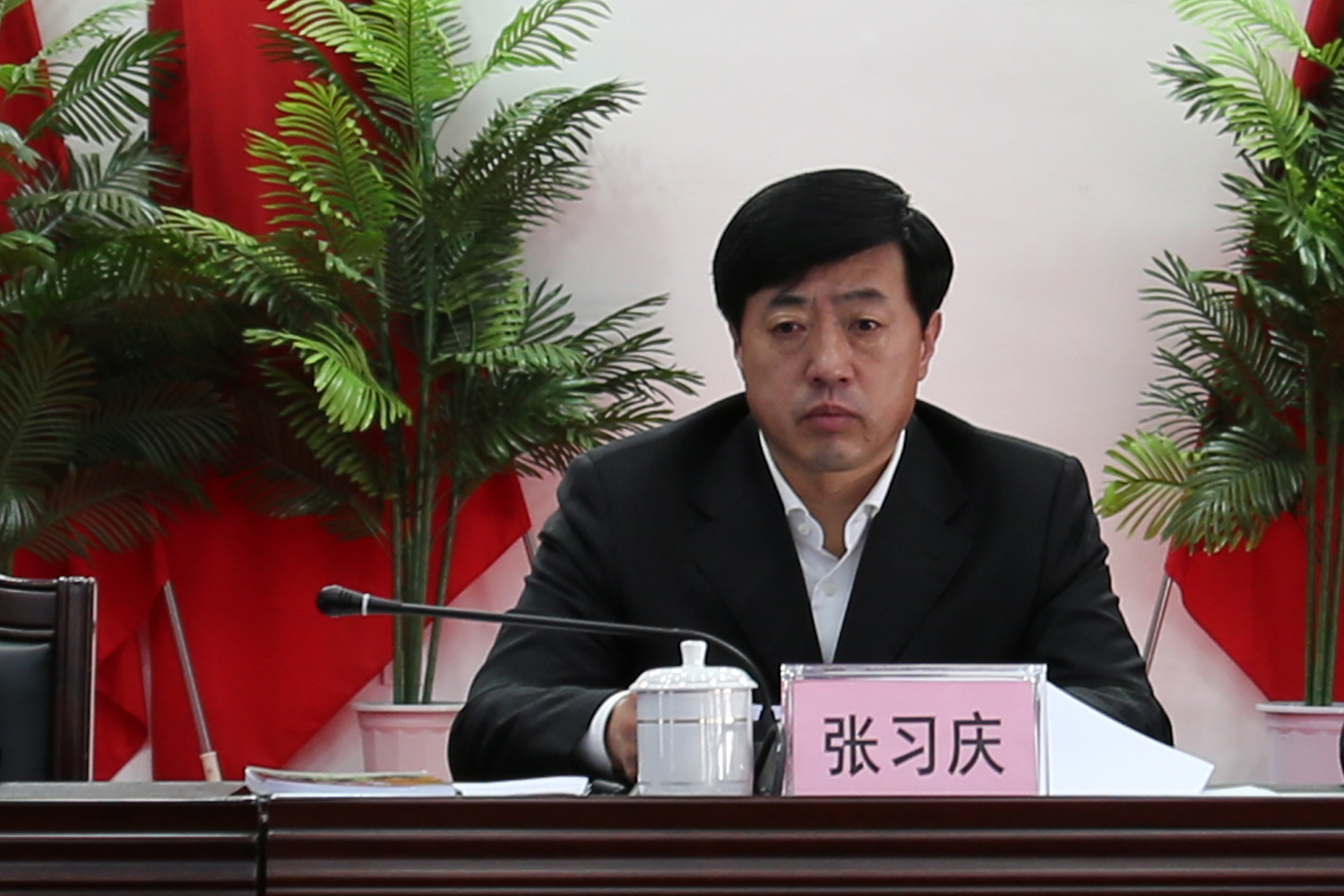 白山市委常委、市委政法委书记张习庆作重要讲话